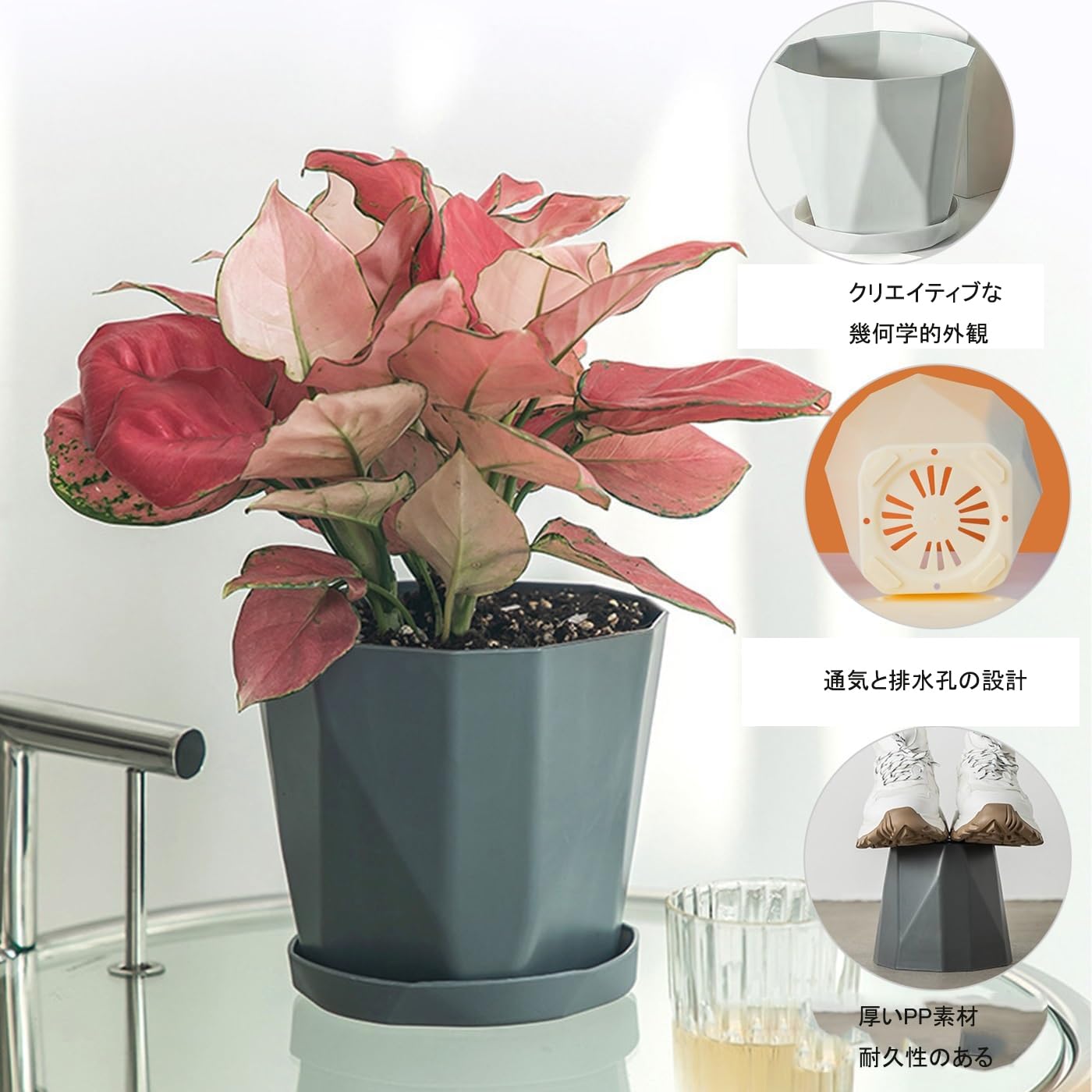 Amazon.co.jp: 植木鉢 プラ鉢 鉢 プランター 底皿付き